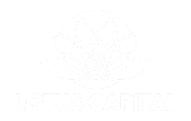 Lotus Capital